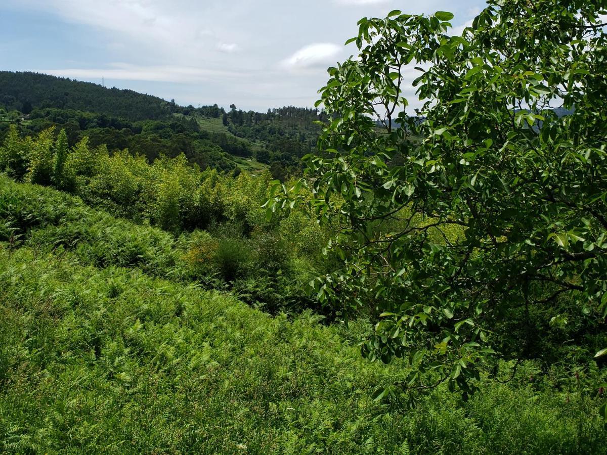 Casa Rural Do Fontan Guest House Pontevedra Ngoại thất bức ảnh