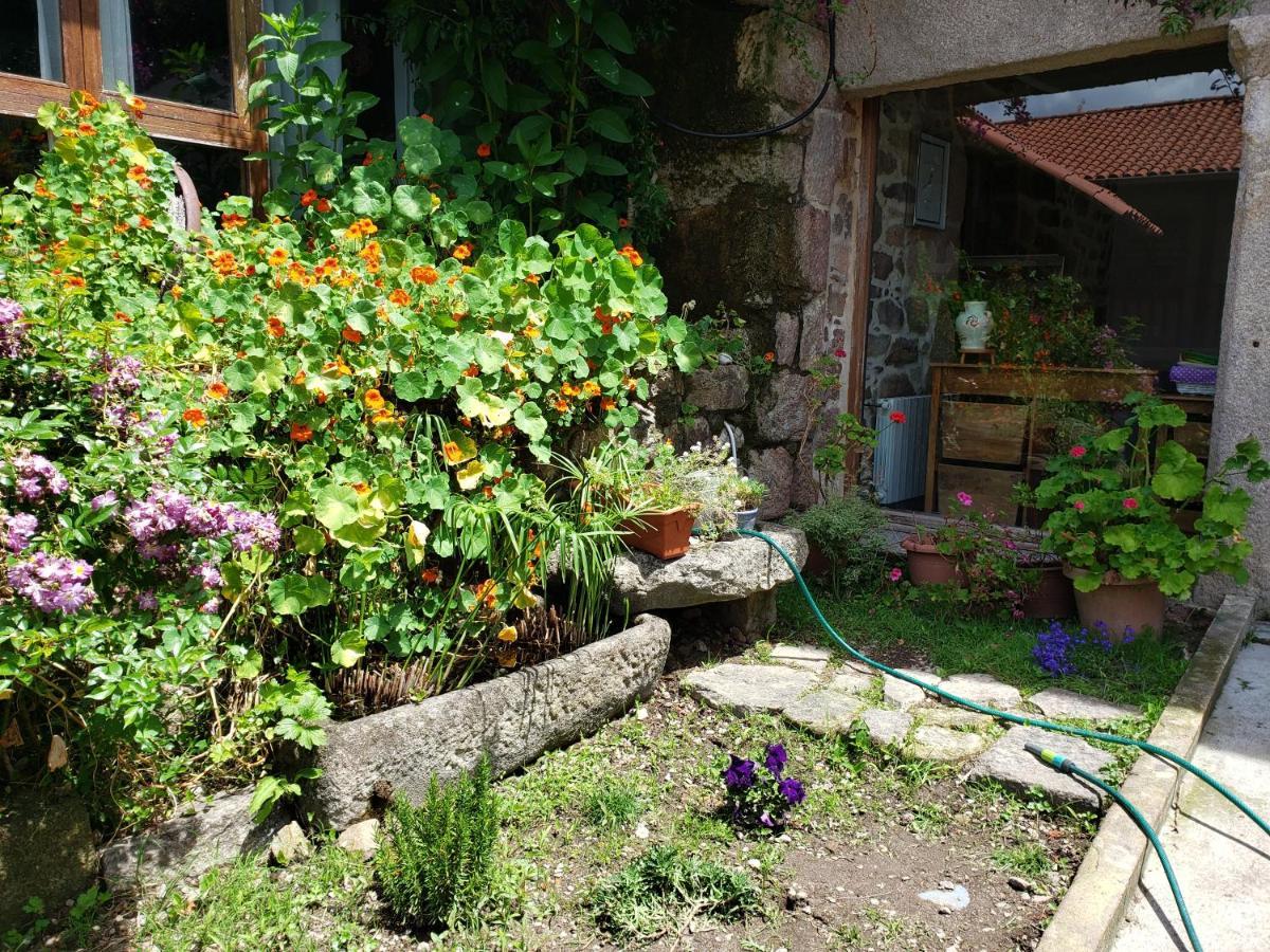 Casa Rural Do Fontan Guest House Pontevedra Ngoại thất bức ảnh